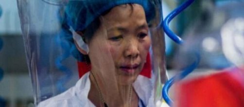 La ricercatrice cinese Shi Zhengli sostiene che il virus Sars-Cov-2 non è nato nei laboratori di Wuhan.