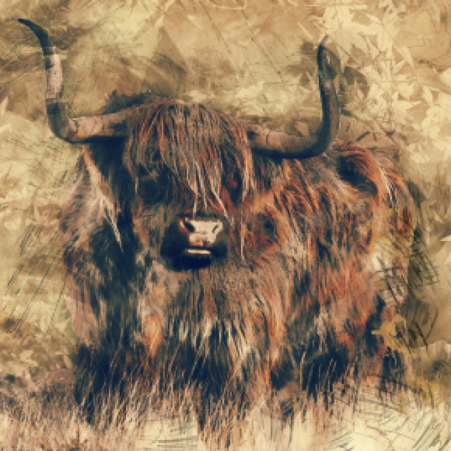 Previsioni zodiacali e classifica di venerdì 31 luglio: Toro ostinato, Leone mondano.