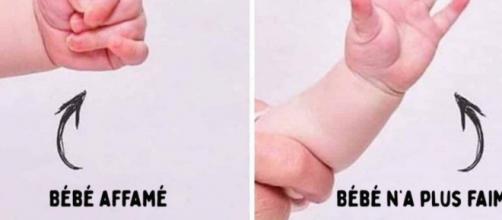 Coups De Pieds Poing Ferme 7 Gestes Pour Decoder Le Langage Des Bebes