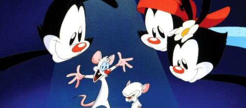Animaniacs e Pinky e Cérebro, estão entre os principais desenhos animados produzidos por Steven Spielberg. (Arquivo Blasting News)