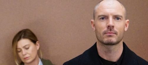 Nella nuova stagione di Grey's Anatomy, due attori entreranno nel cast fisso mentre Carina DeLuca sarà un personaggio di Station 19.