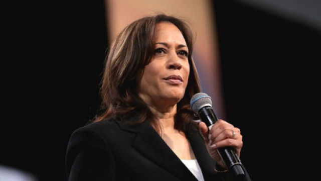 Primaires démocrates : Joe Biden et la piste Kamala Harris. Credit: Flickr/Gage Skidmore