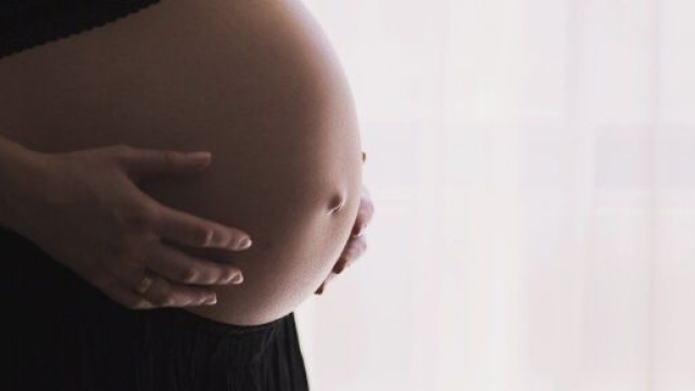 ELLE TOMBE ENCEINTE SANS JAMAIS AVOIR EU DE RAPPORT SEXUEL - Photo Pixabay