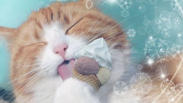 image d'illustration, - Pixabay