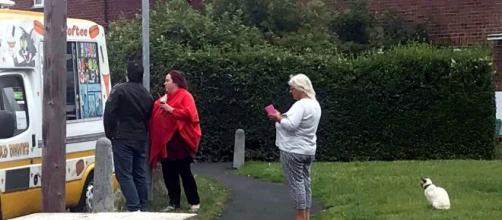 Angleterre Un Chat Fait La Queue En Respectant La Distanciation Sociale Pour Une Glace