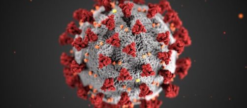 La tasa de prevalencia del coronavirus se mantiene