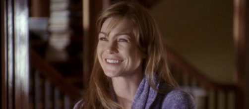 Nella prima stagione di Grey's Anatomy Meredith Grey intraprenderà i cinque anni di specializzazione al Seattle Grace.