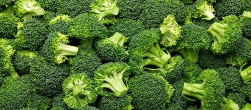 Brócolis é indispensável para quem deseja ganhar massa muscular. (Arquivo Blasting News)