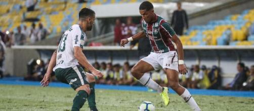 Fluminense X Palmeiras: informações sobre escalações e ...