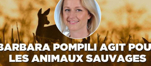 Le site internet de la ministre Barbara Pompili : les néonicotinoïdes vont exterminer des milliards d'insectes utilesue-animaux.fr