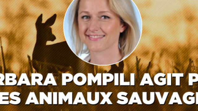Le site internet de la ministre Barbara Pompili : les néonicotinoïdes vont exterminer des milliards d'insectes utilesue-animaux.fr