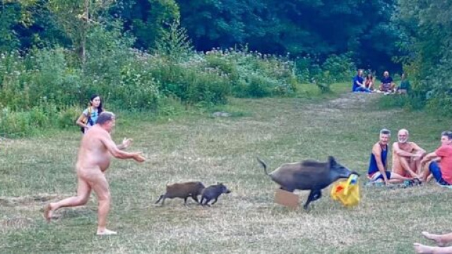 Les images capturées par une allemande présente sur les lieux ont fait le tour du Web, source : capture Facebook - Adele Landauer