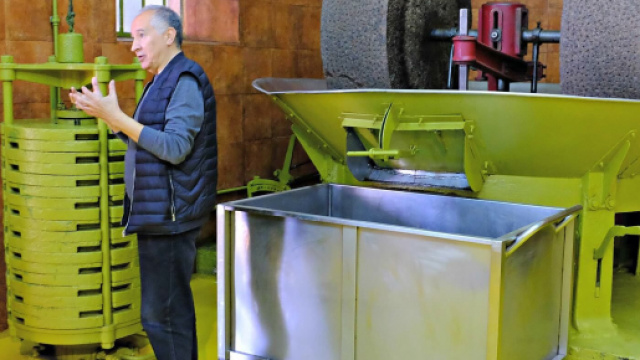 Les ateliers artisanaux de production des huiles d'olive Segermès, dans le moulin de Mounir Boussetta,autonome de la cueillette à l'embouteillage