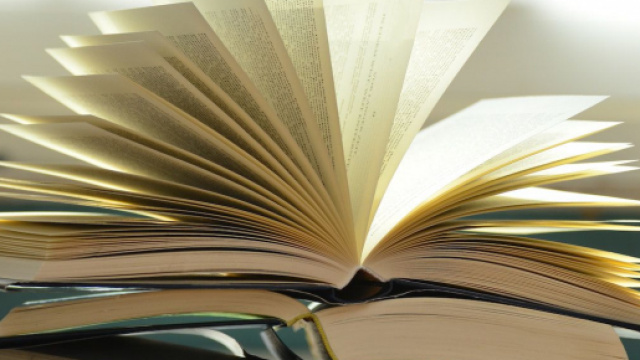 Rentr&eacute;e litt&eacute;raire 2020 : 7 livres attendus en librairie