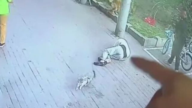 Les images de vidéo-surveillance ont permis de mettre toute la lumière sur l'accident subi par le vieil homme, source : capture Youtube