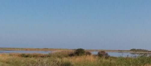 Brindisi, rinvenuto ordigno bellico nell'area dell'ex poligono di Punta della Contessa.