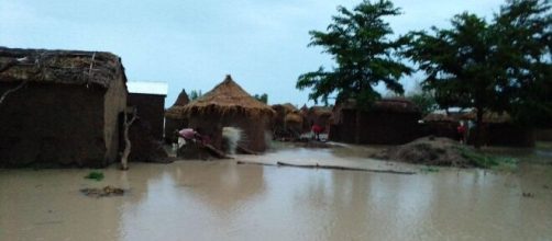 L'arrondissement du Mayo-Danay en proie à des inondations en ce mois d'août 2020 (c) Adolarc Lamissia