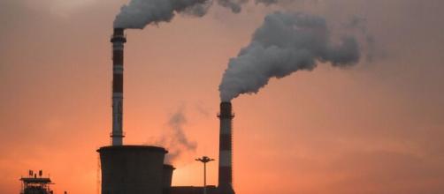 La ley ambiental en Delhi moviliza a dos millones de indígenas