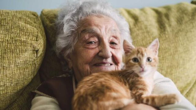 image d'illustration, source : capture - Twitter