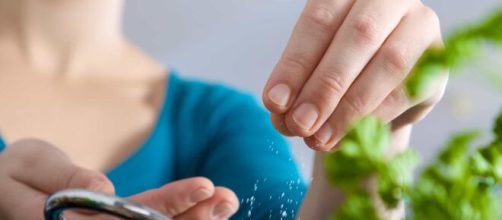 5 dicas para diminuir o sal na alimentação. (Arquivo Blasting News)