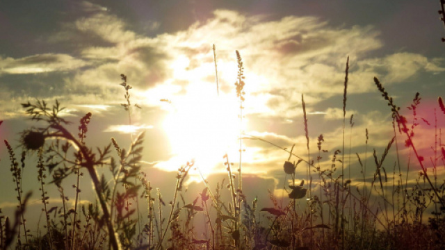 L'oroscopo di domani 1&deg; settembre e classifica 1&ordf; sestina: Ariete e Gemelli tra i favoriti.