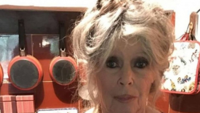 Brigitte Bardot a poussé un coup de gueule. Source : Instagram @welovebrigittebardo