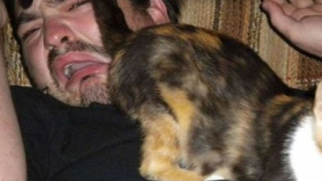 Chat s'il vous montre ses fesses ce n'est pas uniquement pour vous dire qu'il se sent à l'aise