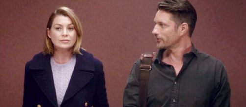 Nella tredicesima stagione di Grey's Anatomy, Meredith Grey intraprende una relazione con il collega Nathan Riggs.