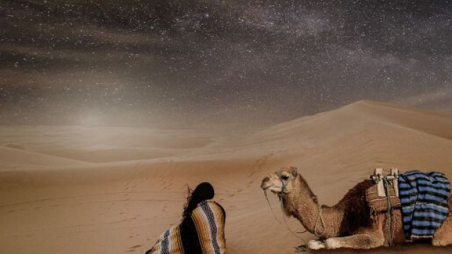 L'Oroscopo di ottobre: mese di novità per i Pesci, festeggiamenti per la Bilancia.