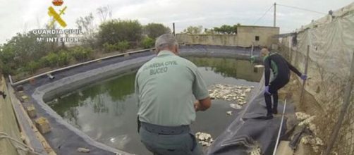 La Guardia Civil trabaja en una balsa de riego del tipo de la que fue encontrada la niña de El Ejido.