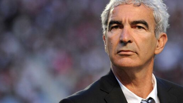 Foot : Raymond Domenech répond à la pique d'Anelka | VL Média - vl-media.fr
