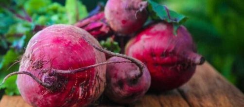 A beterraba é um bom exemplo de alimento vasodilatador. (Arquivo Blasting News)