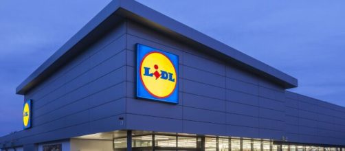 Assunzioni Lidl: posizioni aperte per diplomati e laureati, candidatura online.