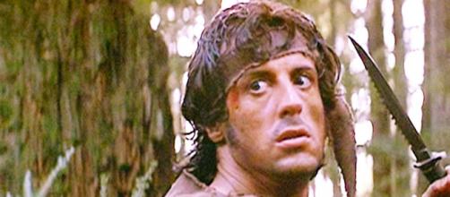 pin-von-larry-jensen-auf-sylvester-stall