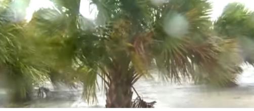 Hurricane Sally: More catastrophic rainfall expected after historic storm slams Alabama, Florida. [Image source/Global News YouTube video]