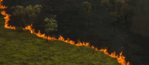 Foto aérea da tomada da vegetação pantaneira pelo fogo descontrolado. (Arquivo Blasting News)