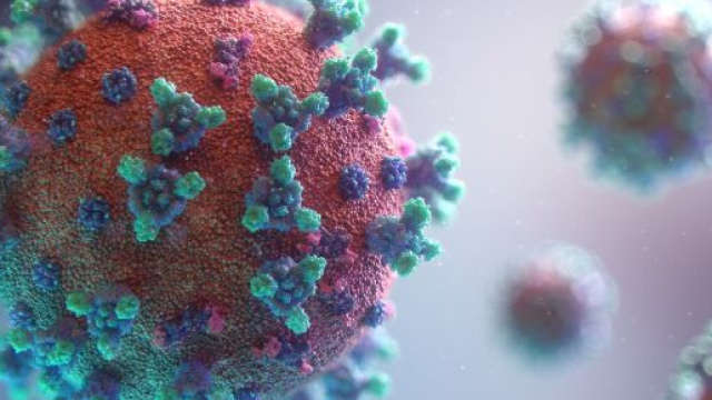 Covid-19, Nada guarisce dopo 6 mesi.