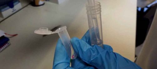 El desarrollo de la Universidad de Valencia de detección rápida de coronavirus, está basado en nanotecnología