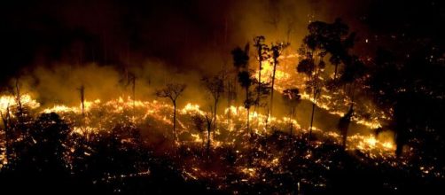 Bolsonaro critica ONGs ao falar sobre queimadas na Amazônia. (Arquivo Blasting News)