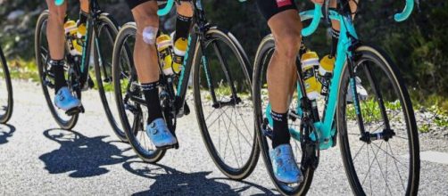 Le bici Bianchi della Jumbo Visma al Tour de France.