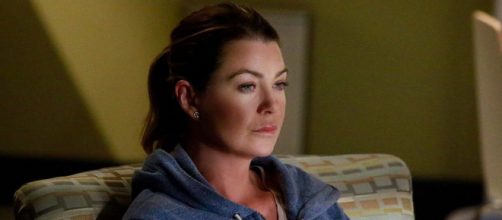 Krista Vernoff ha anticipato che nella diciassettesima stagione di Grey's Anatomy, Meredith Grey dovrà fare i conti con un mondo nuovo.