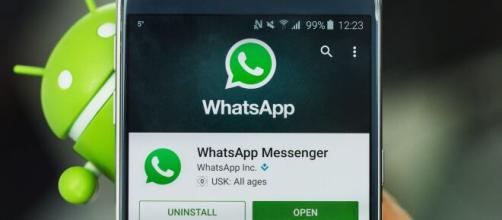 WhatsApp a breve si aggiornerà con le smart reply.