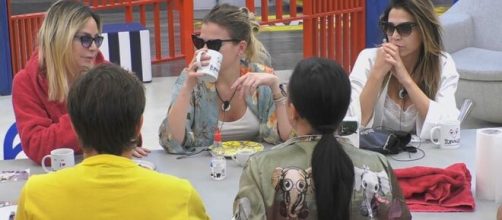 GF Vip, Zorzi contro Stefania Orlando