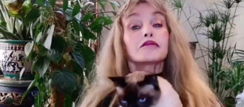 Arielle Dombasle offre 10 000 € à l'association " Les chats de Stella" - Photo Instagram Arielle Dombasle