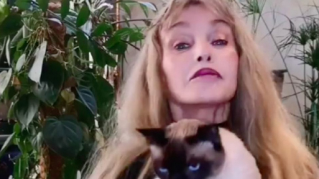 Arielle Dombasle offre 10 000 € à l'association " Les chats de Stella" - Photo Instagram Arielle Dombasle