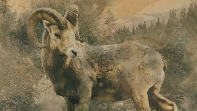 Oroscopo e classifica di martedì 19 gennaio: Leone perplesso, Capricorno riflessivo.