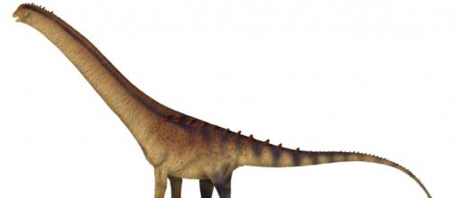 Un nouveau dinosaure aux dimensions gigantesques vient d'être découvert. ©Wikimedia Commons