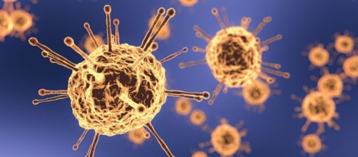 La ivermectina sería un posible aliado en la lucha para frenar la pandemia causada por el coronavirus