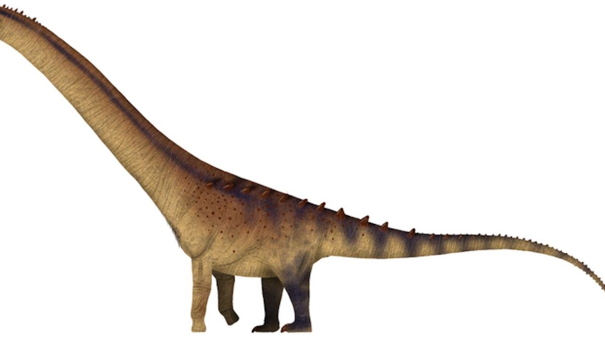 Un gigantesque dinosaure découvert en Espagne