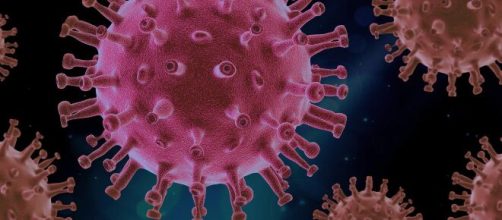 Mutações do coronavírus podem escapar à ação de anticorpos, sugere pesquisa. (Arquivo Blasting News.)